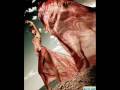 John B - When I'm clouse to you . . .