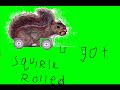 squirl rolled