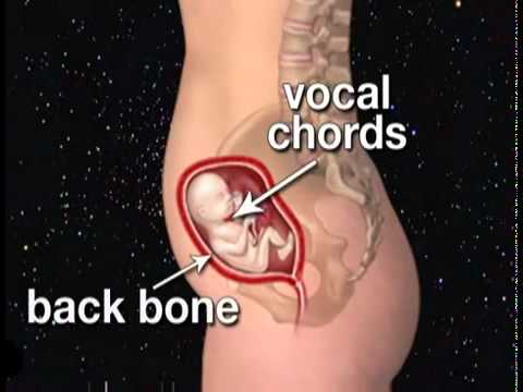 how to care in pregnancy in 4th month