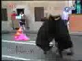 تصادم ثوران ثور حادث