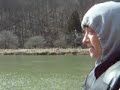 Dogs Running in Woods