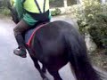 Out on a hack