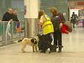 Sniffer dog drug buster gets stamp honour Sniffer dog drug buster gets stamp honour