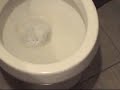 Extreme House Cleaning