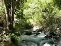 Banias
