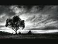 Sterbend - Depressing Paths Through Fullmoon Forests
