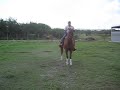 EL SEVEN Y EL PATRON