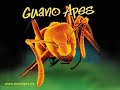 Guano Apes - Cream Over Moon (a tribute to...)