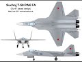 Russian T50 PAK-FA Stealth Fighter