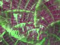 1970 s old school funk-- Maceo & The Macks --Soul Power 74.wmv