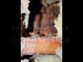 Mold water damage and mold remediation