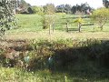 haarping on about chemtrails downunder