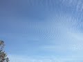 haarping on about chemtrails downunder
