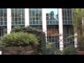 Elwyn Music Video Taiwan