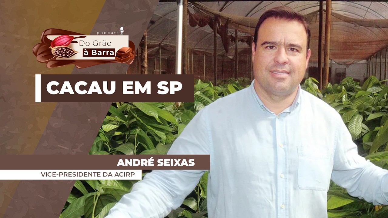 DO GRÃO A BARRA - Avanço do cacau em SP estimula evento em São José do Rio Preto / SP