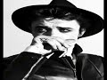 Pete Doherty Dont look back into the sun Acoustic