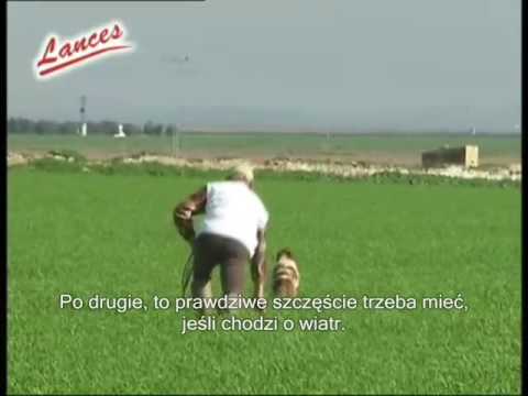 Epagneul Breton Osuna 2009