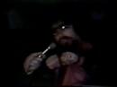 Raul Comenta - Rock das \"Aranha\"
