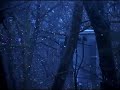 Ghosts 1, by Todd Julie