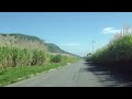 Driving Xalapa - Through the Cane Fields
