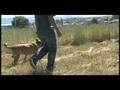 2009-04-22 | Under a Big Sky (Part2) ~> Polson Ignites anti hero antihero John cardiel Tony Trujillio Chet Childress Phil Shao Peter Hewitt Dan Drehobl Wade Speyers ... (3:50)