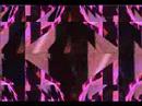 Spider \"Wrap\" video