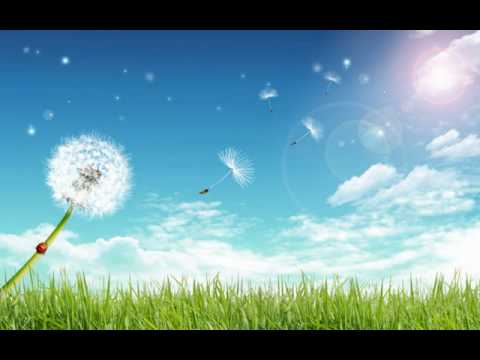 Salut D Amour Edward Elgar