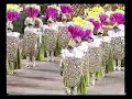 Comiss�o de Frente -- Imperatriz Leopoldinense 1999