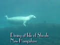New Hampshire Video