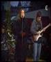 Alifair Quartet TV France3 L'arbre a plumes