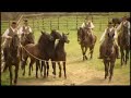 I CAVALIERI DI MAREMMA