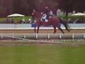 Bayerische Meisterschaften - Dressur Kl. S** Grand Prix Kür
