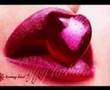 Video Mon Amour Lointain        Votre Amie Chaton