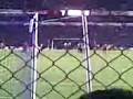 videos de Gallos Bcos campeon 2008 (4)