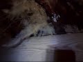 Rotted Subfloor