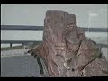 Search Video