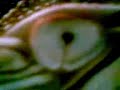 Thumbnail #3