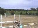 Always A Big Choice- 2004 Gelding For Sale Always A Big Choice- 2004 Gelding For Sale