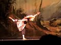 Comedie musicale du roi lion - the lion king