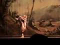 Comedie musicale du roi lion - the lion king