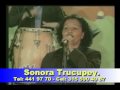 SONORA TRUCUPEY 