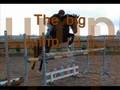 oria du loir