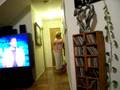 videos de guela's b-day at maidas