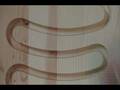 videos de Marble run 18 Maximum Density