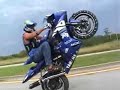 Wheelie King Wheelie King