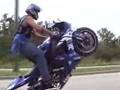 Wheelie King