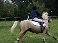 Cso la salantine