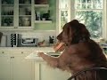 Pepsi Commercial - \