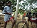 Click here to watch this video pele é cavalinho
