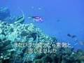 宇多田ヒカル　HEART STATION at  Aquarium 歌詞付きCover